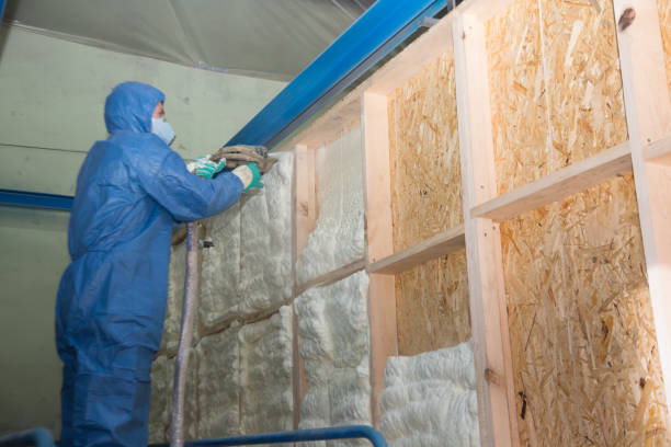 Best Insulation Repair Services  in Fayetteville, PA